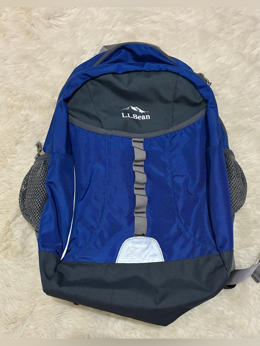 LL Bean Backpack, Style 302389, Reflective, Blue / gray